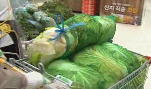 [5분경제] 월동배추 3000톤 비축물량 푼다