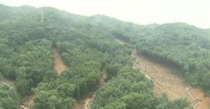 우면산 산사태 막는다&hellip;나무심기 행사