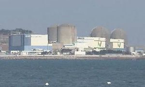 시의원 부인 회사 고리원전 6년간 50억 거래