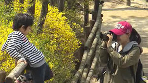 전주 28.2도&middot;서울 23.8도&hellip;역대 3월 최고기온