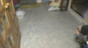 볼쇼이 극장 성상납 폭로 발레리나 집에 괴한 난입