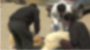 전남 해남서 개가 농민 3명 물어&hellip;현장서 사살