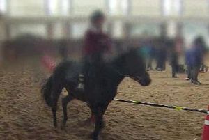 "게임보다 말타는 게 재미있어요" 동식물 매개치료 눈길
