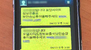 스마트폰 뱅킹 똑같은 화면&hellip;1천만 원 사라졌다