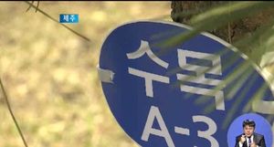 [제주] 장묘문화 변한다&hellip;개장유골 화장 예약 ↑