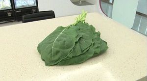 다양한 재료의 녹즙&hellip;내 몸에 맞는 것 찾으려면?