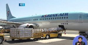 [제주] 특급배송 없어지나&hellip;운항기종 중소형으로