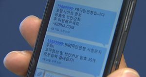 피싱 사기 기승&hellip;인터넷 대출 중단 확산될 듯