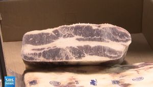 '광우병' 조사단, 농장방문 무산&hellip;육안 검사로 충분?