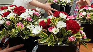 어버이날ㆍ스승의날 `수입산 카네이션' 특별단속