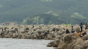 양양 방파제 추락 50대 여성 발견&hellip;병원이송 사망