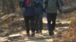 산에서 철쭉 먹고 '어질어질'&hellip;곧 마비증상이