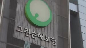 '시세 조종 혐의' 이영두 그린손보 회장 영장 기각