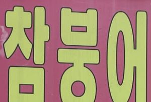 [수도권] 광주 남종 분원마을 붕어찜 축제 개막