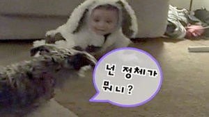 [영상] '나랑 비슷한데&hellip;' 공황 상태에 빠진 강아지