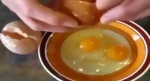 주먹만한 달걀, 깨뜨려보니&hellip;안에 또 달걀이?