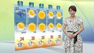 [날씨] 곳곳 돌풍&middot;벼락 동반 소나기&hellip;경북에 우박