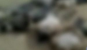 "日역사 교과서 관동대학살 조선인 피해 부실하게 기술"