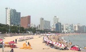 해운대 해수욕장 '비키니 몰카' 잡고 보니