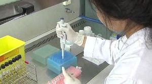 경기도 시흥 고등학생 집단 식중독 증세 호소