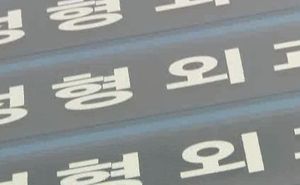 '브로커 끼고 장사' 강남 유명 성형외과 무더기 적발