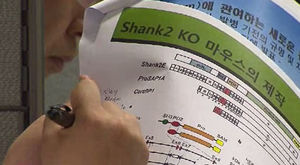 자폐증 원인 유전자 첫 규명&hellip;치료 단서 잡았다