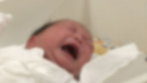 "이중언어 아기, 7개월이면 문법 차이 구별"