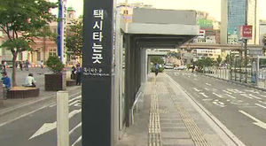 택시 전면 운행중단&hellip;서울광장서 대규모 집회