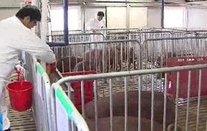 [수도권] 무더위에 가축 건강 비상&hellip;관리 요령은
