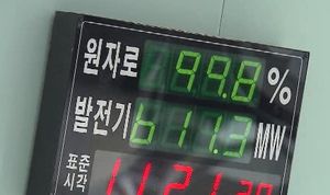 [5분 경제] 연예인 내세운 500억원대 '짝퉁 마케팅'