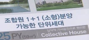 재건축 아파트, '넓히기'보다 '1+1 쪼개기' 인기
