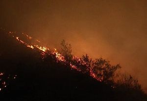 서울 대모산에 화재&hellip;200㎡ 소실
