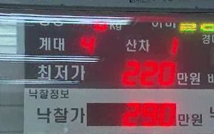 [울산] 가축시장 전자경매 가동&hellip;투명한 거래