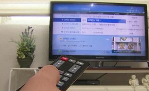 "지상파TV 하루 2시간 47분 본다&hellip;VOD는 2분만"