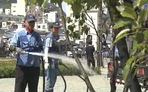 앙상하게 마른 도심 가로수&hellip;급수 비상