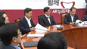 새누리 "국회의원, 총리&middot;장관 겸직 못해"