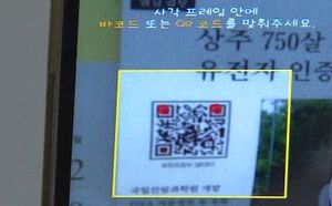 [대구] 750살 상주 감나무에 'QR코드'
