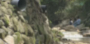 평창 뇌운계곡서 일가족 4명 고립&hellip;안전 구조
