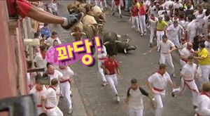 [영상] 거침없이 돌진! 스페인 '소몰이 축제'
