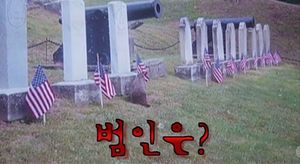 [영상] 묘비 앞 성조기 자고나니 '싹!'&middot;&middot;&middot;범인은?