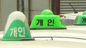 '한 달에 택시 7대' 상습절도범 영장