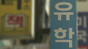"해외 명문대 입학 보장" 유학원 거짓광고 시정조치