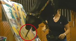 [영상] 붓 입에 물더니 '휘리릭'&middot;&middot;&middot;그림 그리는 馬