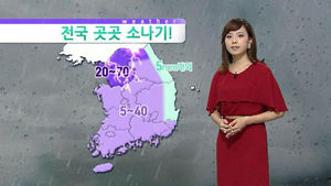[날씨] 전국 곳곳 요란한 소나기&hellip;중부 최고 70mm