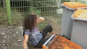 '인천캣맘폭행사건' 길고양이 먹이주기 '논란'