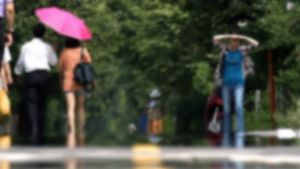 폭염 사망자 4명 추가 발생&hellip;7명으로 늘어