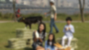 한강공원 취사ㆍ낚시 등 무질서 집중단속