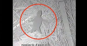 [영상] 어미 품에서 '또르르'&middot;&middot;&middot;갓 태어난 새끼 판다