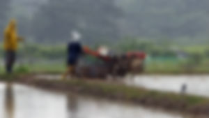 충남 홍성서 70대 경운기에 깔려 숨져