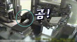 [영상] 한밤, 초콜릿 가게 습격한 '검은 손'의 정체는?
